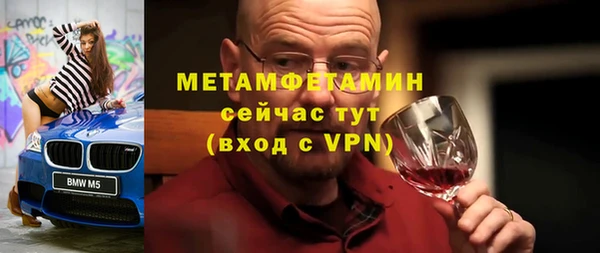 прущие грибы Коряжма