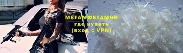 прущие грибы Коряжма