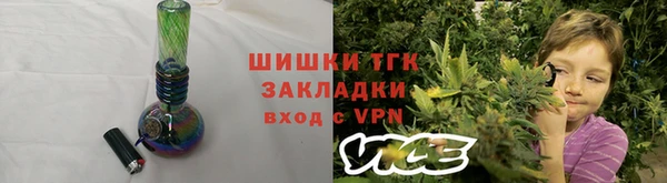 прущие грибы Коряжма