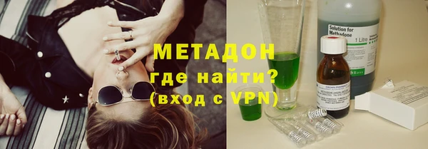прущие грибы Коряжма