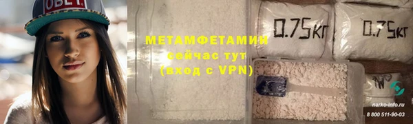 прущие грибы Коряжма