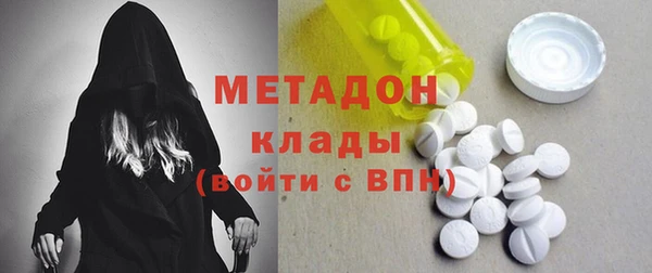 прущие грибы Коряжма