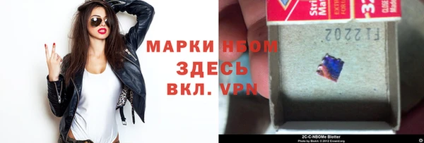 прущие грибы Коряжма
