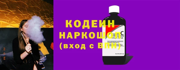 прущие грибы Коряжма