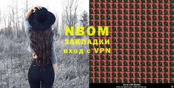 прущие грибы Коряжма