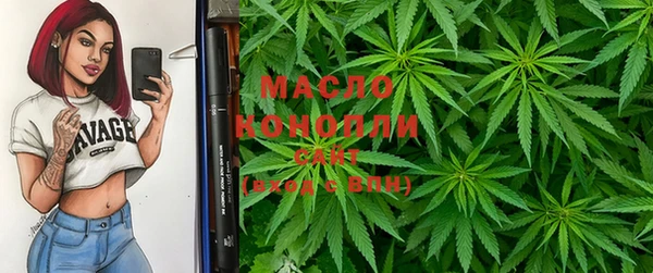 прущие грибы Коряжма