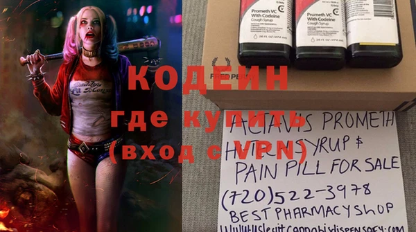 прущие грибы Коряжма