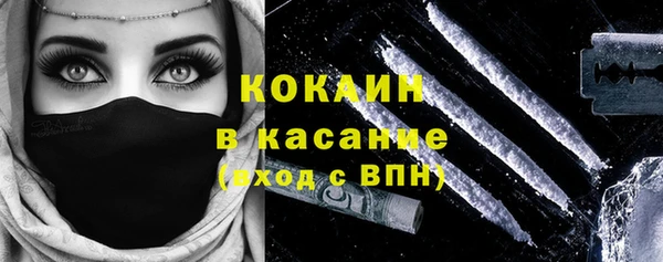 прущие грибы Коряжма