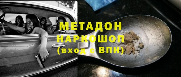 прущие грибы Коряжма