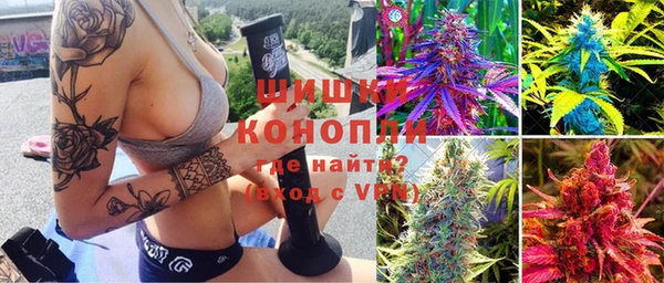 прущие грибы Коряжма