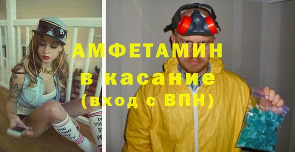 прущие грибы Коряжма