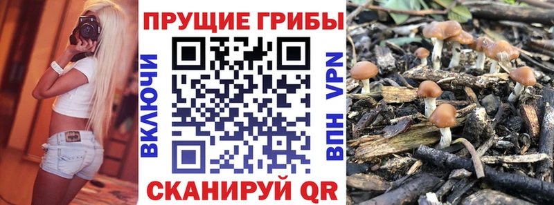 как найти закладки  Северо-Курильск  Псилоцибиновые грибы MAGIC MUSHROOMS 
